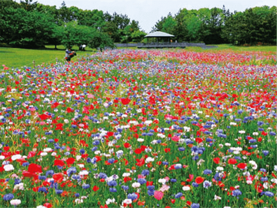 葛西臨海公園