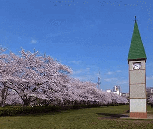 猿江恩賜公園(中央広場)