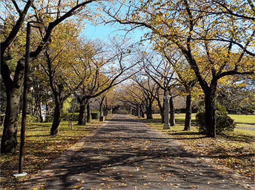 辰巳の森海浜公園