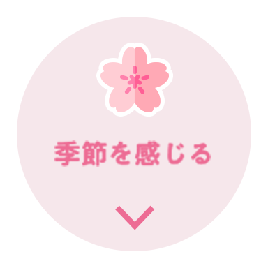 季節を感じるカテゴリへジャンプ
