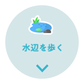 水辺を歩くカテゴリへジャンプ