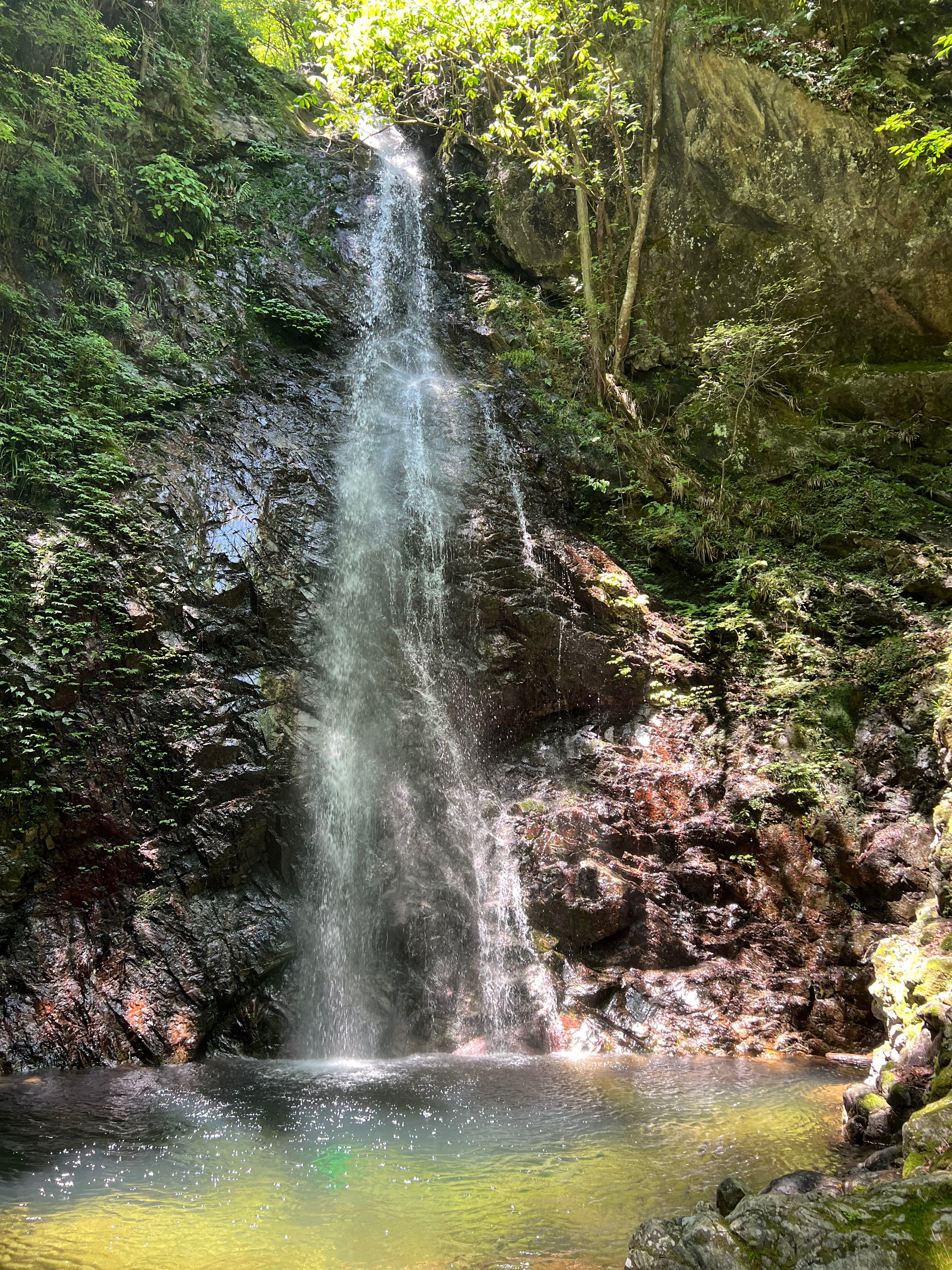 題名「水は高きより低きへこれ即ち自然」の写真