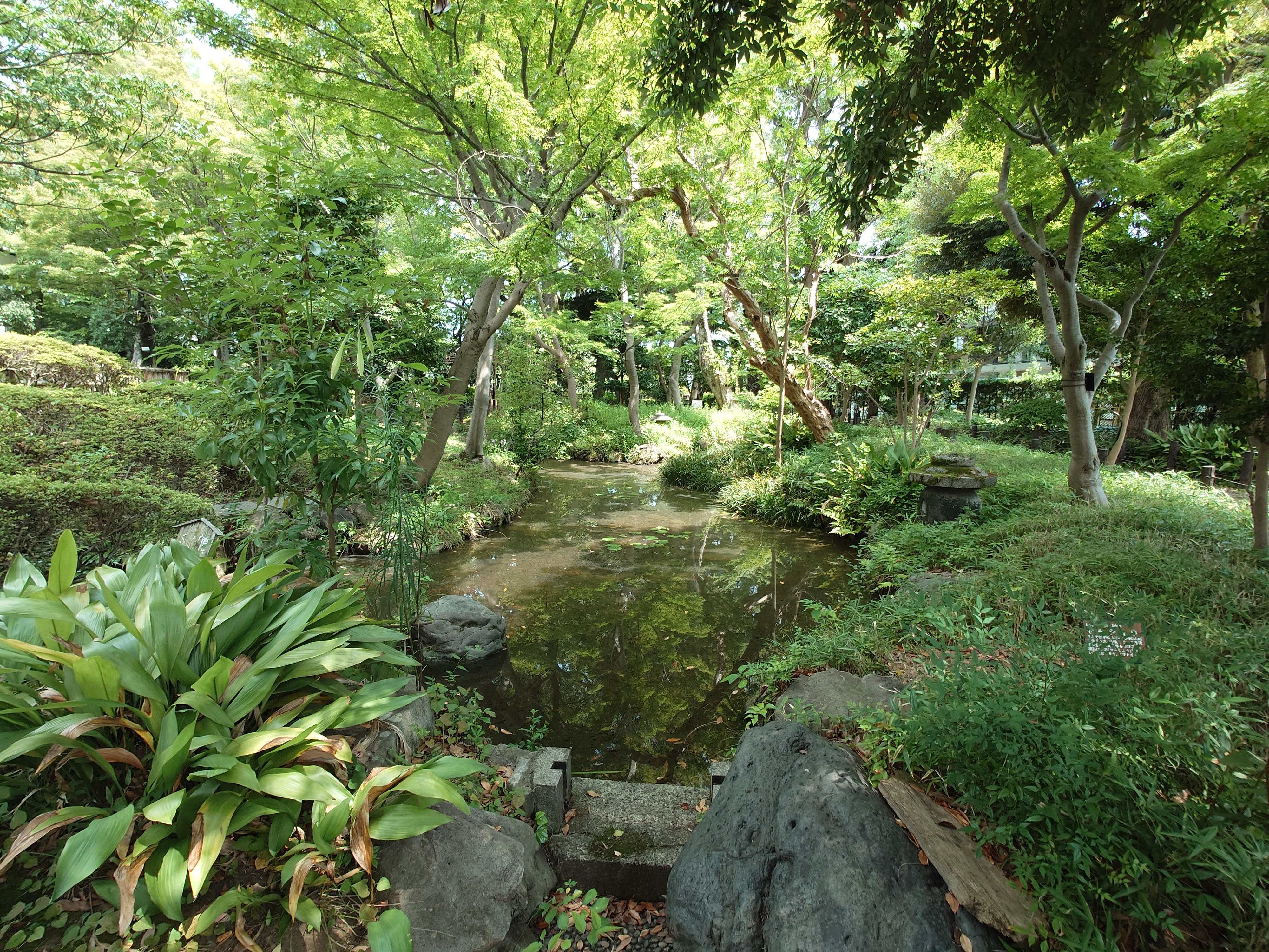題名「めっちゃ過ごしやすい公園」の写真