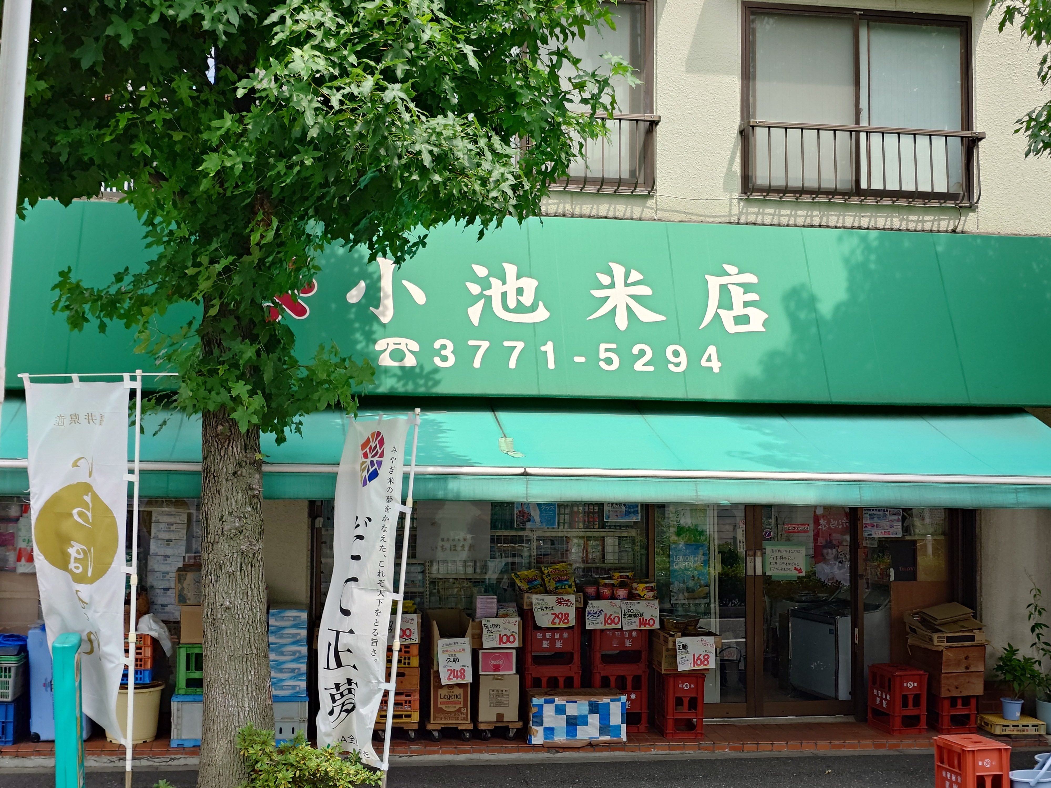 題名「伊藤学園の通り」の写真
